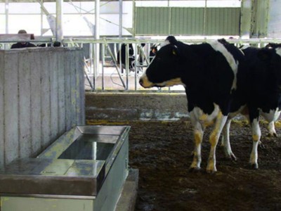 不锈钢恒温饮水槽